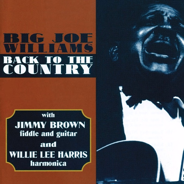 Back to the Country (1964)