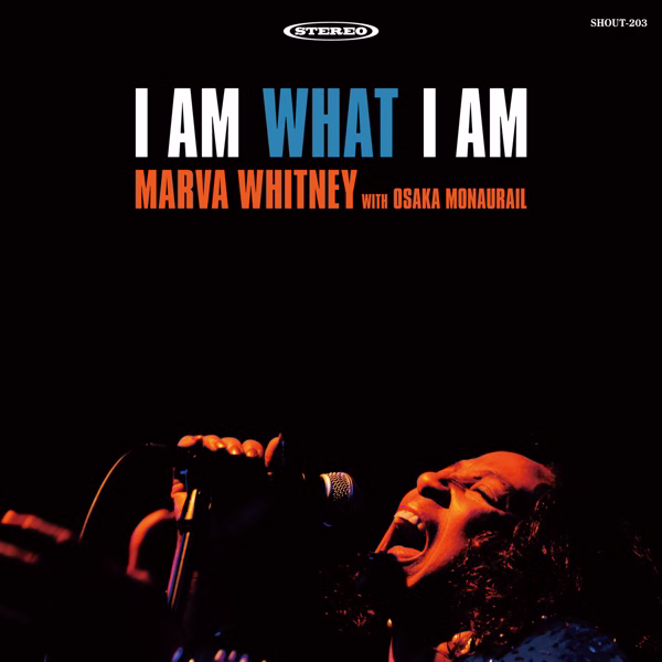 I Am What I Am (2007)