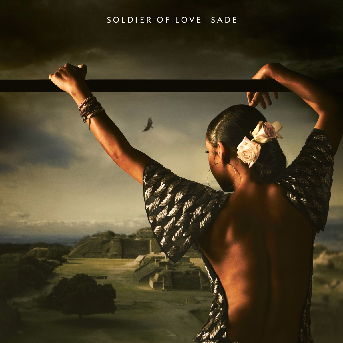 Soldier of Love (2010)