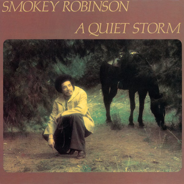 A Quiet Storm (1975)